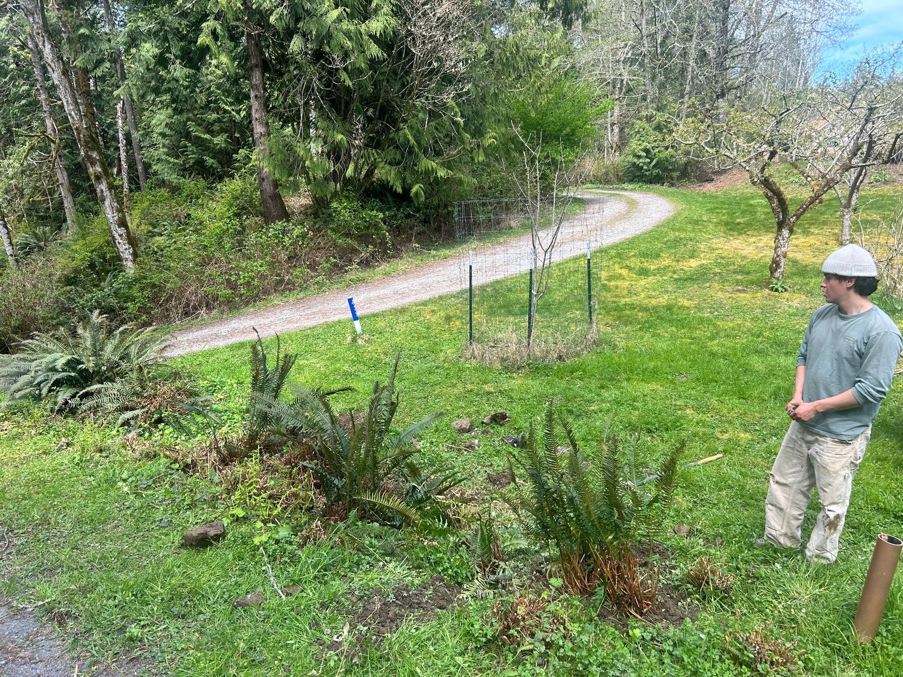 Yard and garden project