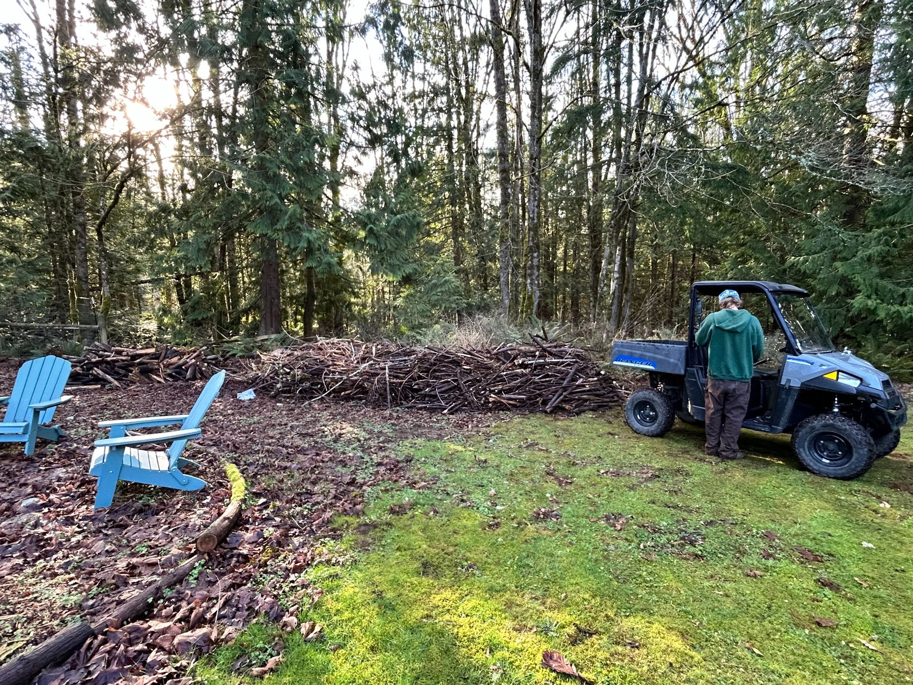 Wooded property area with dead wood piles during clearing work